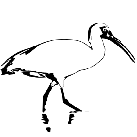 Ibis logo